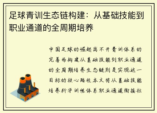 足球青训生态链构建：从基础技能到职业通道的全周期培养